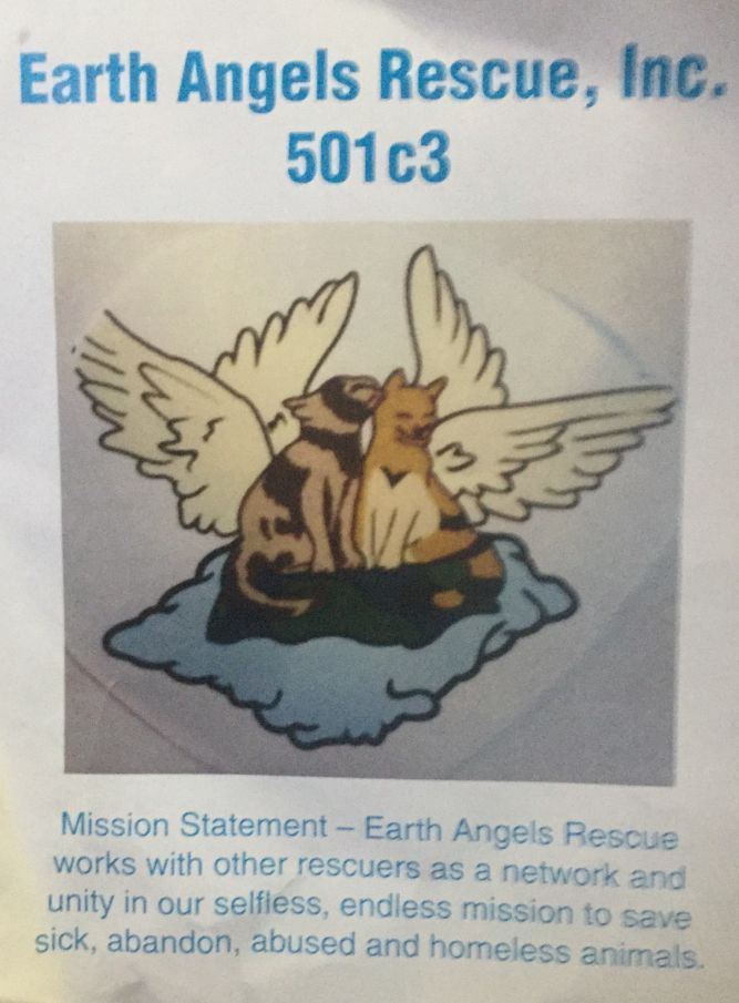 Earth Angels Companion Rescue