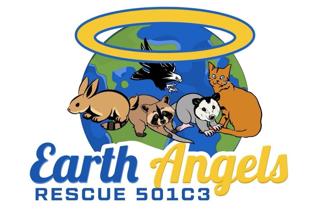 Earth Angels Companion Rescue