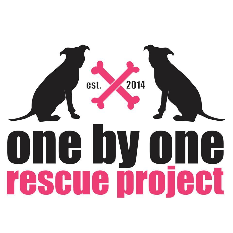 One By One Rescue Project