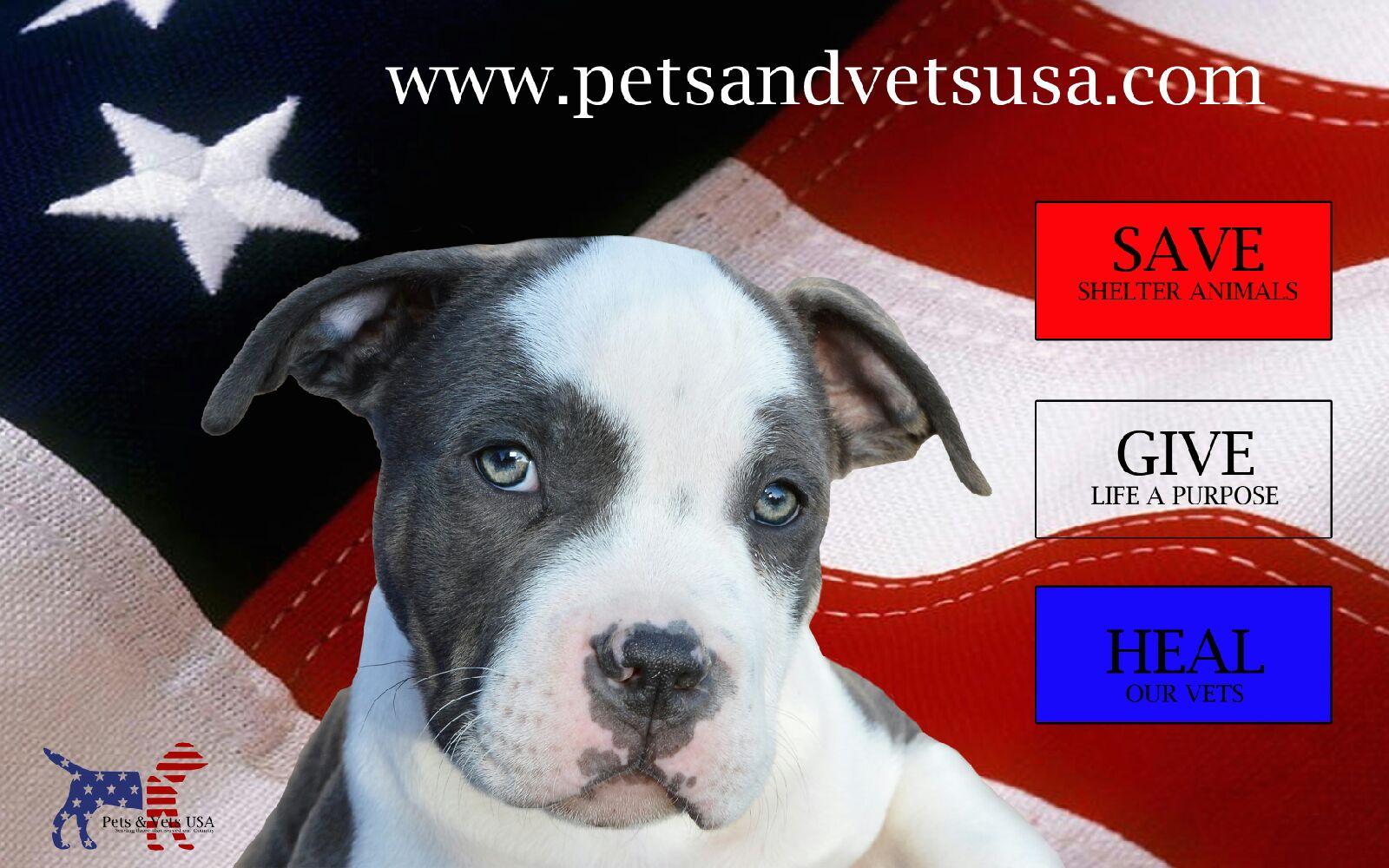Pets and Vets USA