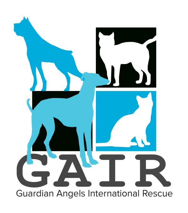 Guardian Angels International Rescue