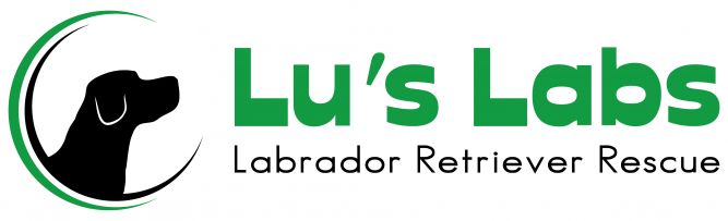 Lu's Labs