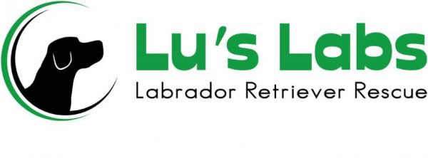 Lu\'s Labs