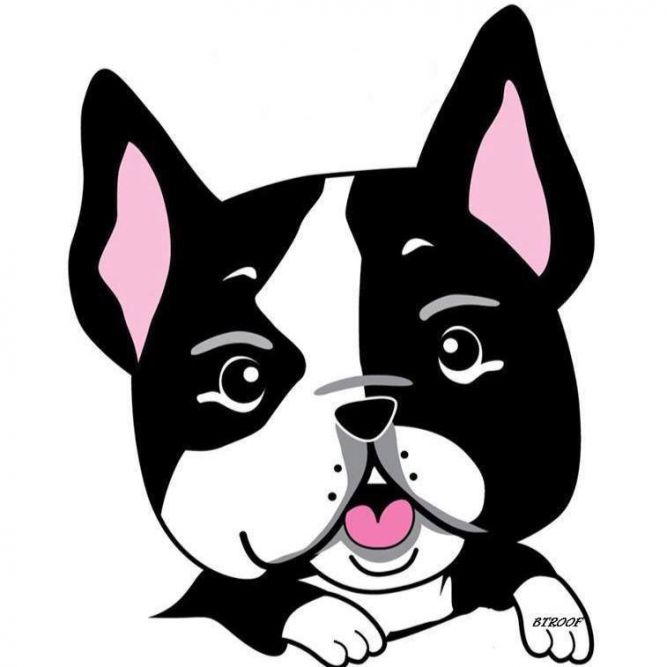 Boston Terrier and Short Nose Rescue of Oklahoma