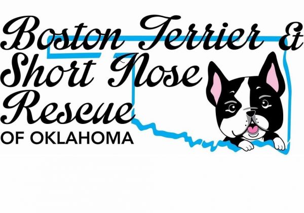 Boston Terrier and Short Nose Rescue of Oklahoma