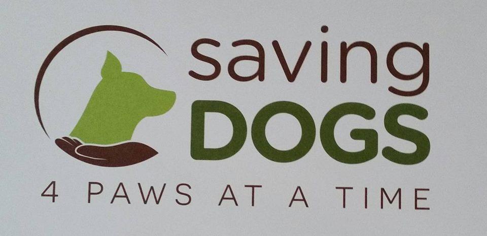 Saving Dogs 4 Paws at a Time