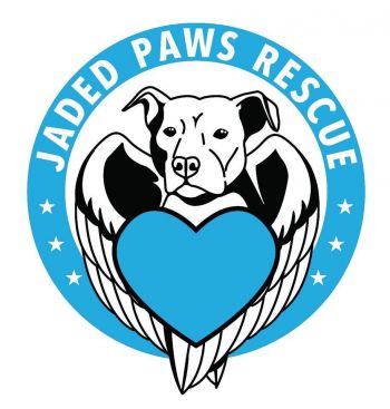 Pets For Adoption At Paws Life Rescue, In Sedalia, CO Petfinder