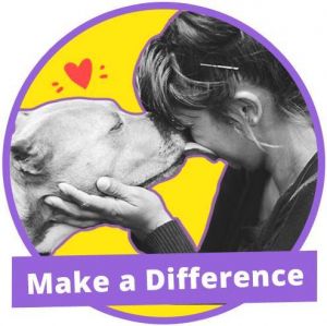 Adoptable Companion Animals of NC