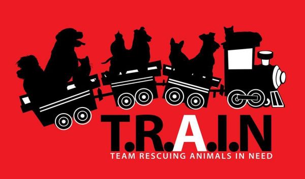 TRAIN - Team Rescuing Animals In Need