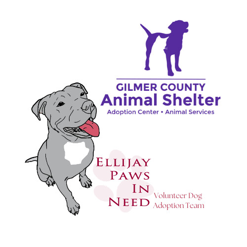 Gilmer County Animal Shelter