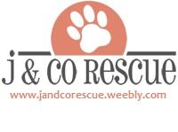J  and Co Rescue