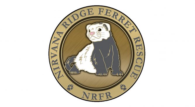 Nirvana Ridge Ferret Rescue