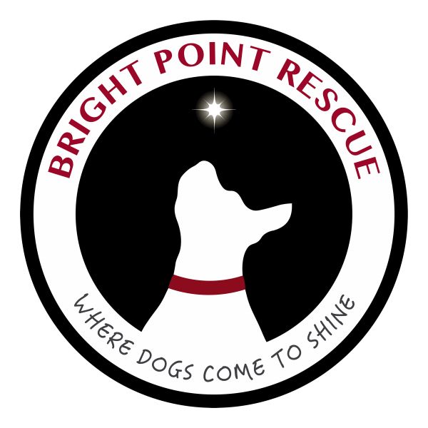 Bright Point Rescue