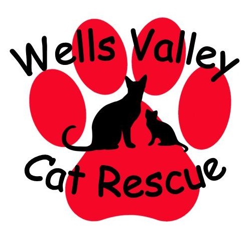 Adoption at Wells Valley Cat Sanctuary 