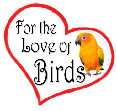 For The Love of Birds