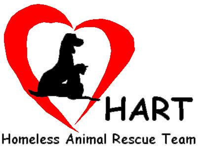 Pets for Adoption at HART Homeless Animal Rescue Team, in Los Lunas, NM ...