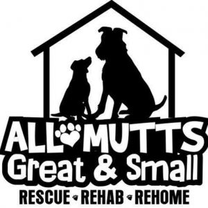 All Mutts Great and Small