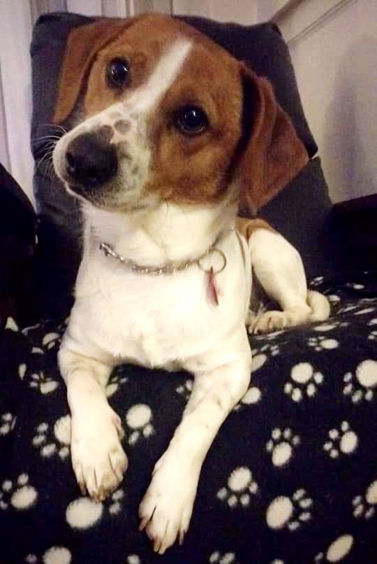 Niles.  Seized after a drug bust.