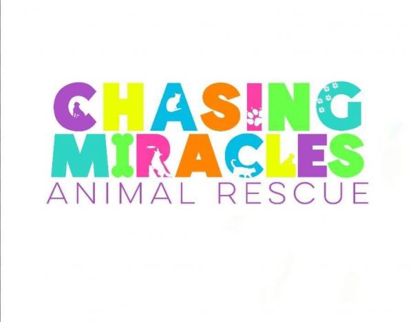 Chasing Miracles Animal Rescue