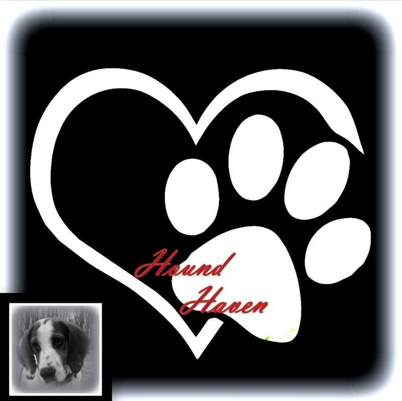 Hound Haven of Lone Pine