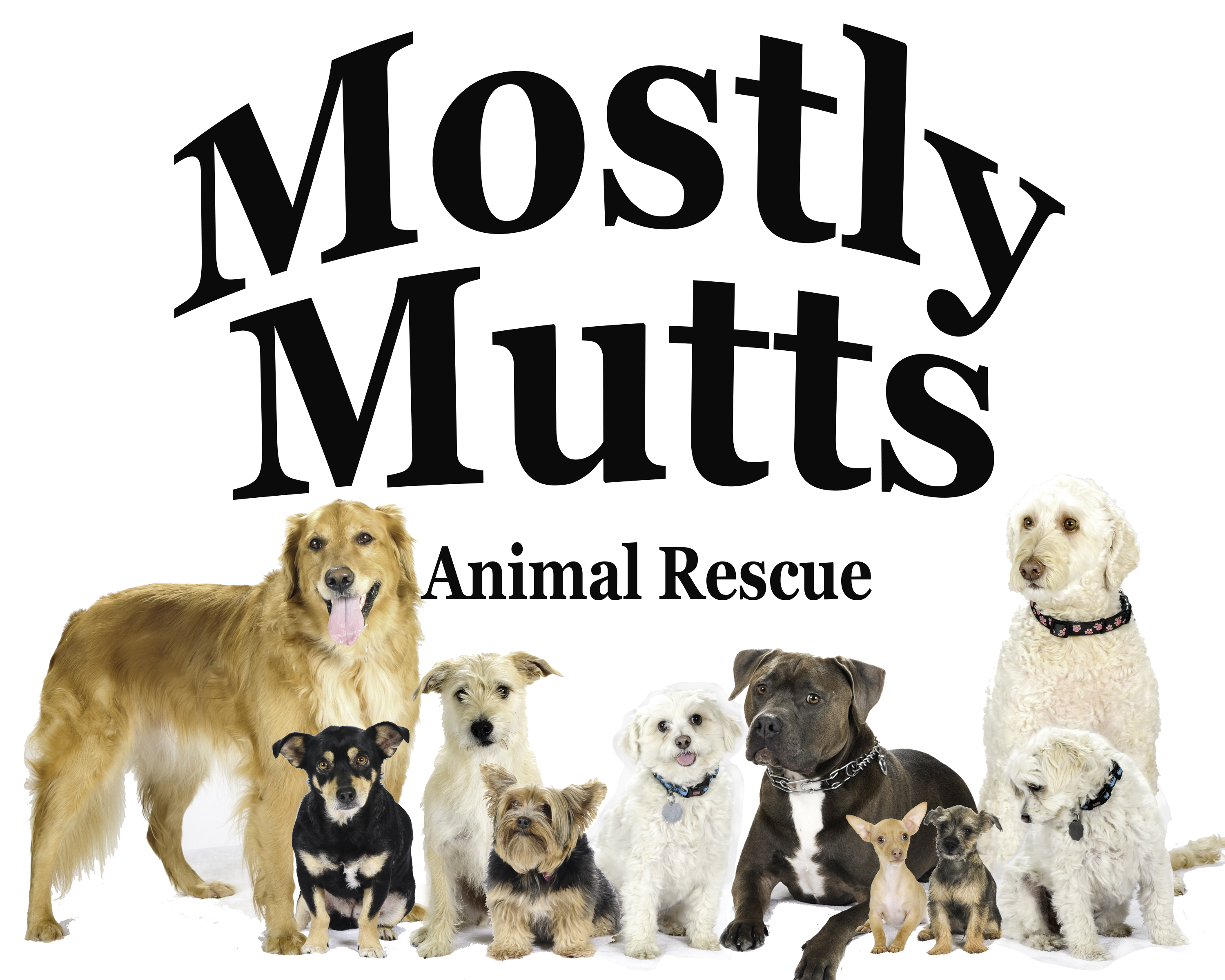 Adoption at Mostly Mutts Animal Rescue 