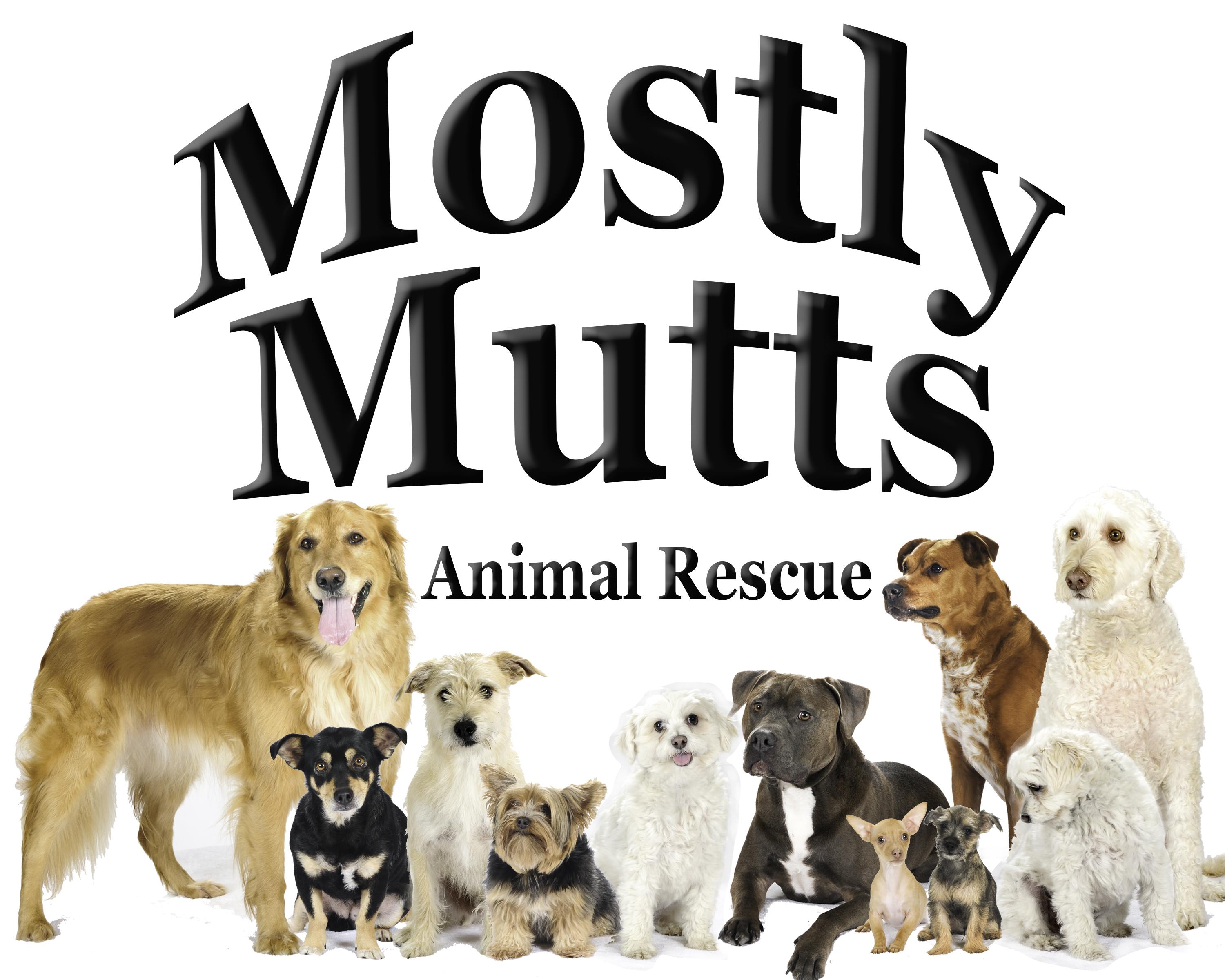 Mostly Mutts Animal Rescue