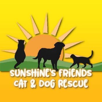 Pets for Adoption at Sunshine's Friends Cat Rescue Sanctuary, in Jessup ...