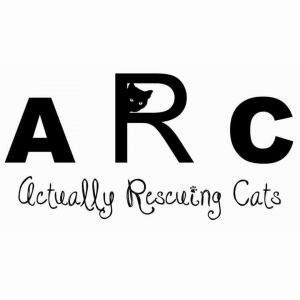 Actually Rescuing Cats