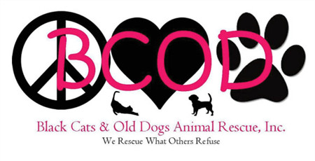 Black Cats & Old Dogs Animal Rescue