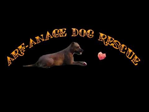 Arf-Anage Dog Rescue