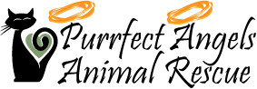 Purrfect Angels Animal Rescue