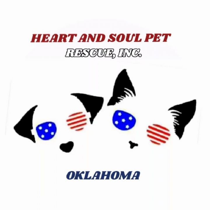 Heart and soul dog and best sale cat rescue