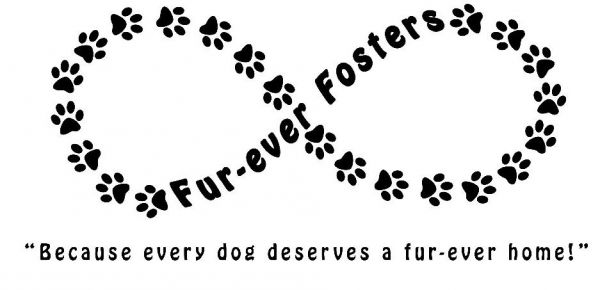 FurEver Fosters