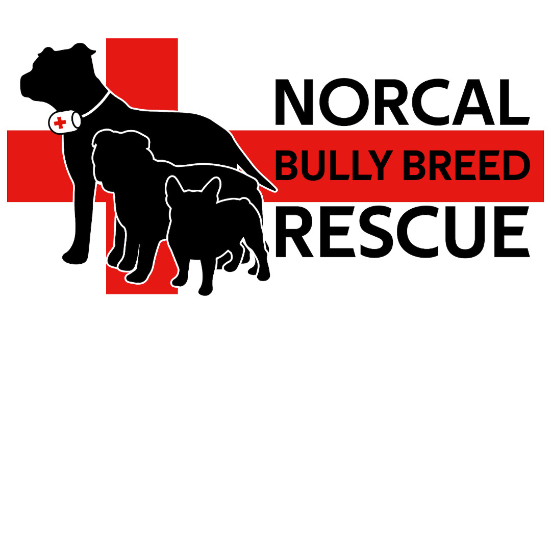 NorCal Bully Breed Rescue