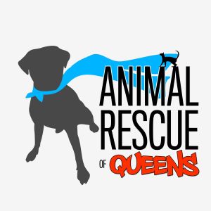 Animal Rescue of Queens, Inc.