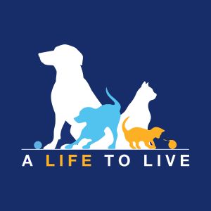 A Life to Live
