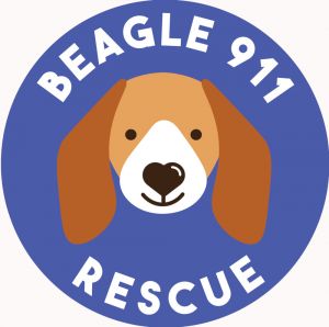 Beagle911 Rescue
