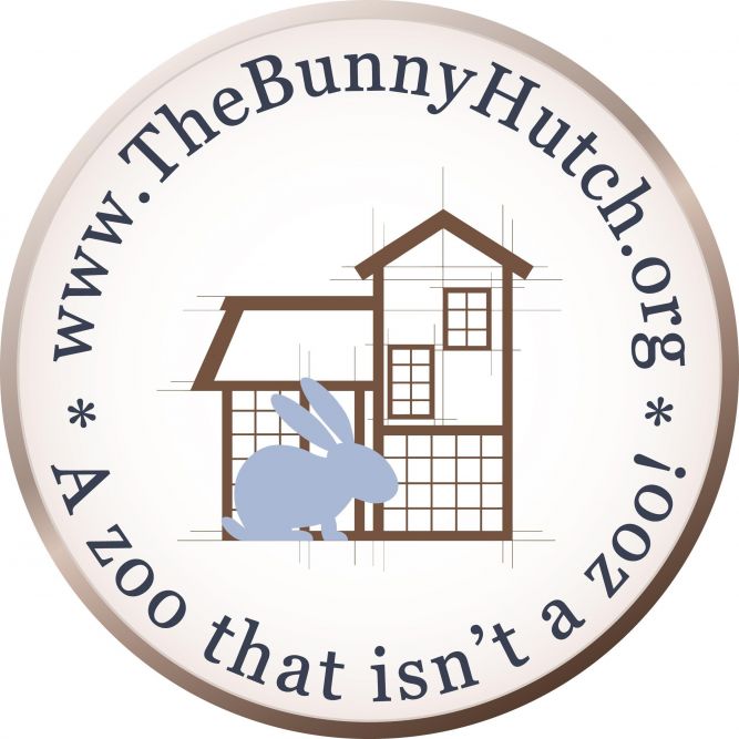 The Bunny Hutch