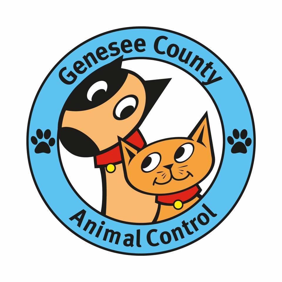 Pets for Adoption at Genesee County Animal Control in Flint MI