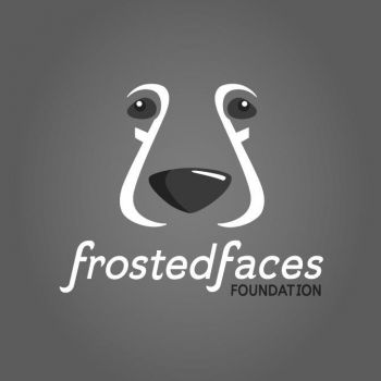 Frosted Faces Foundation