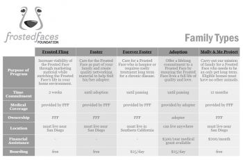 Family Types