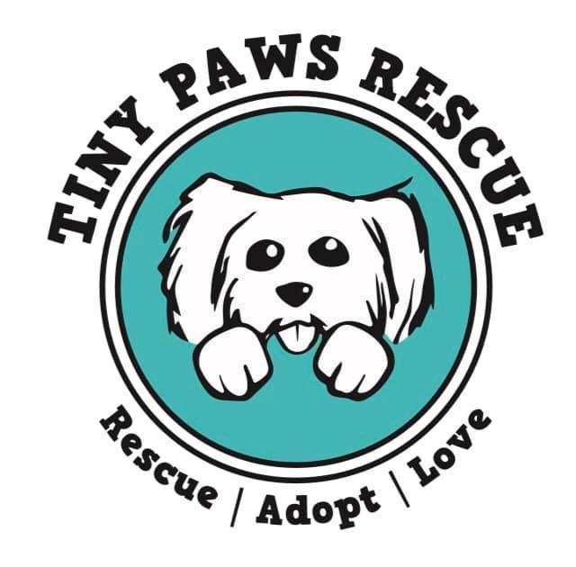 Pets For Adoption At Tiny Paws Rescue Inc, In Bristol, PA