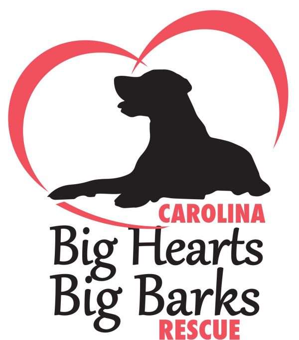 Carolina Big Hearts Big Barks Rescue