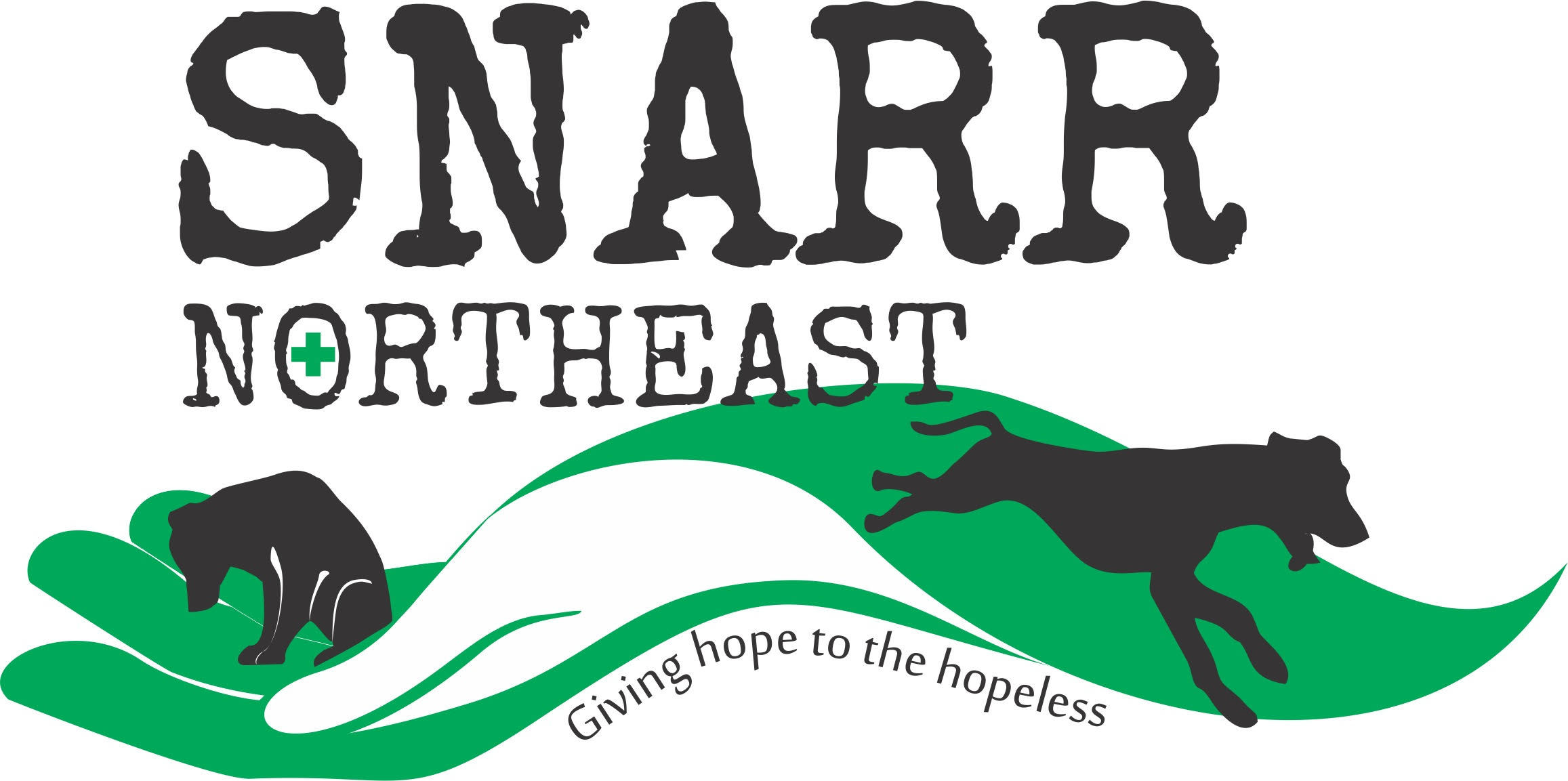 SNARR Northeast