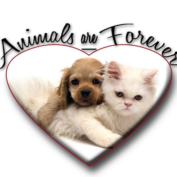 Animals Are Forever, Inc