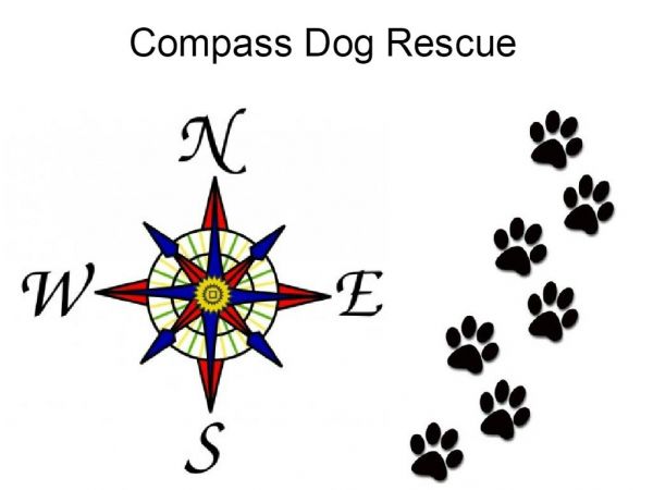 Compass Dog Rescue