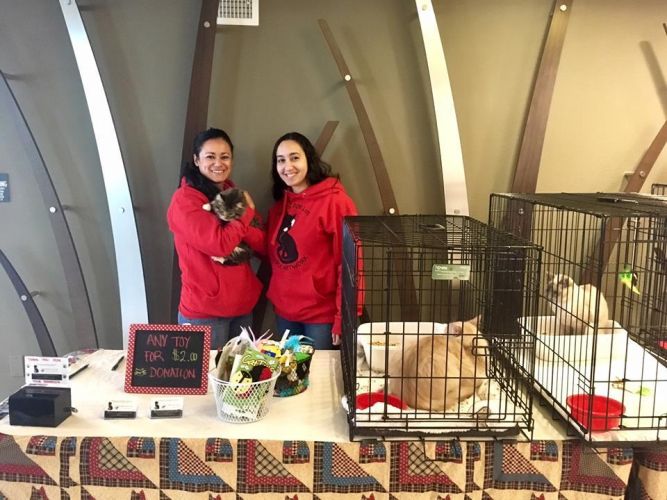 Friends for Life Rescue Network