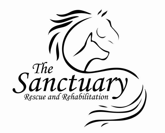 The Sanctuary Rescue and Rehabilitation