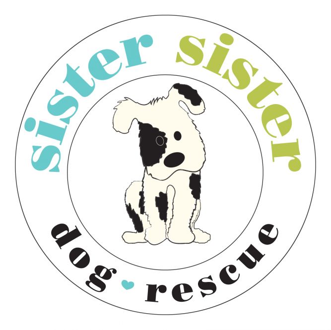 Sister Sister Rescue