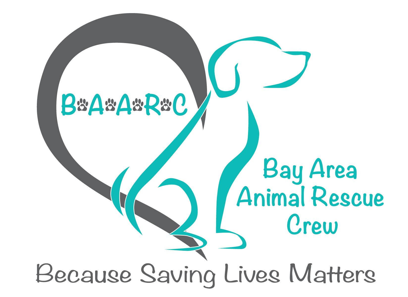 Pets For Adoption At Bay Area Animal Rescue Crew In Concord Ca Petfinder